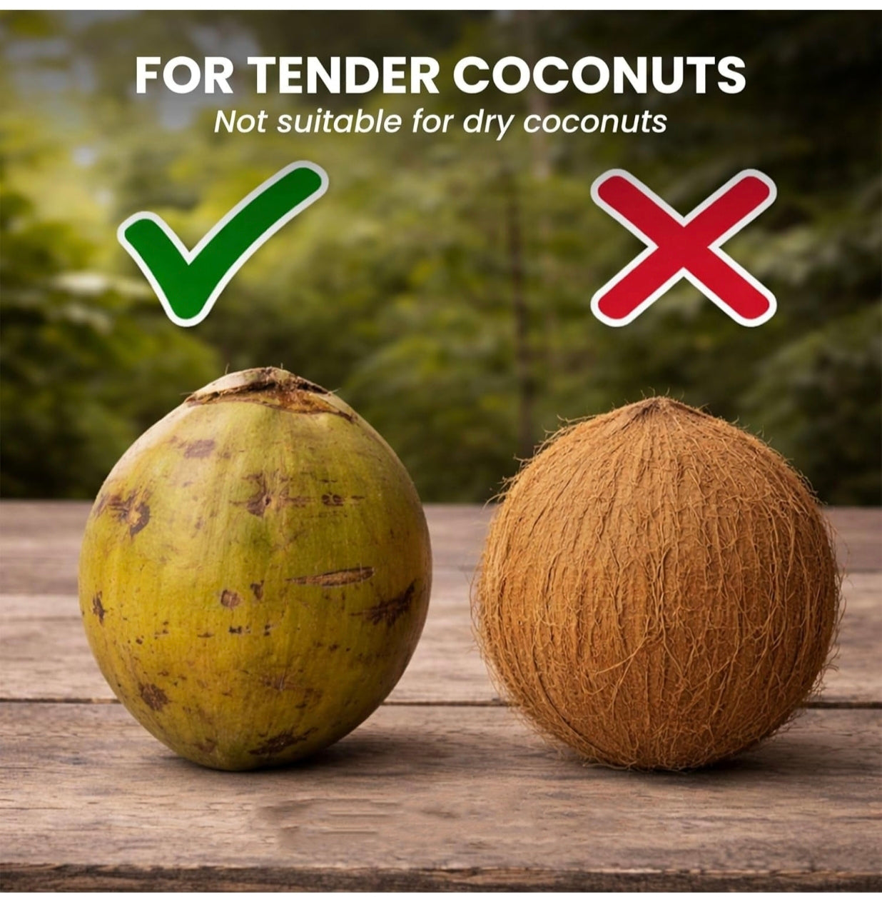 Stainless Steel Coconut Opener