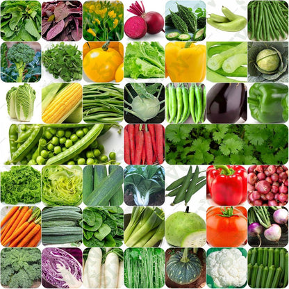 Organic Vegetable Seeds Combo – 100 Mixed Varieties + 5 Grow Bags